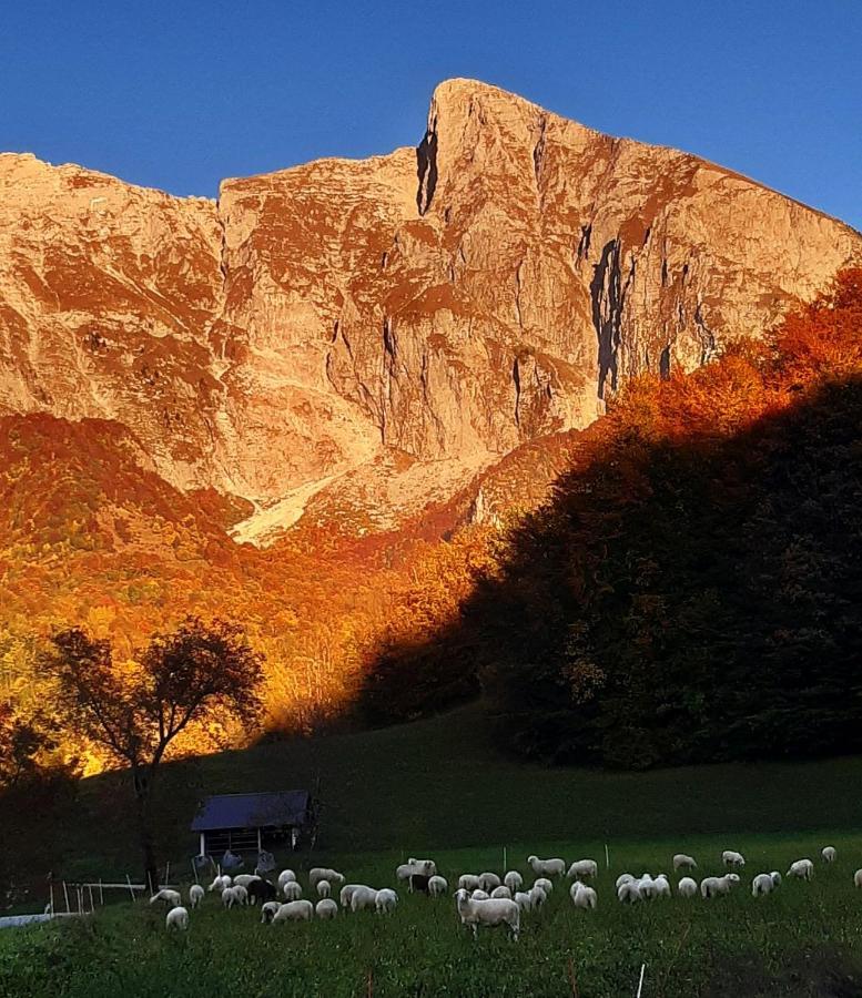 Hisa Planica Apartamento Kobarid